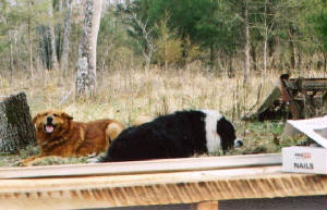 pic09.jpg